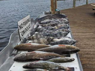 A Fishing Fool