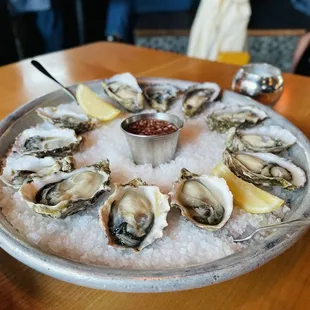 Dozen local oysters