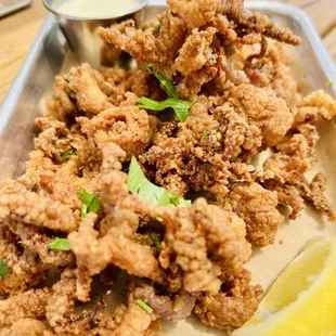Fried Calamari