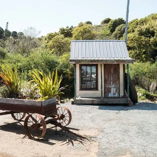 Sailing Goat at Point San Pablo Harbor