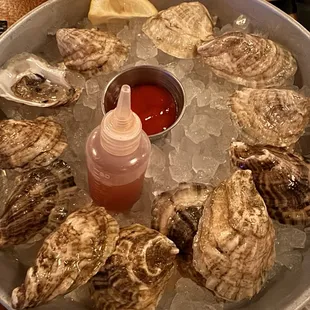 Dozen oysters
