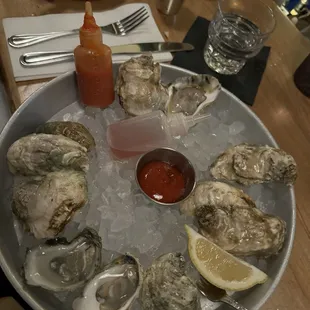 Oysters