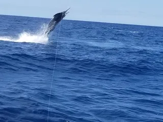 Virginia Beach Fishing Center