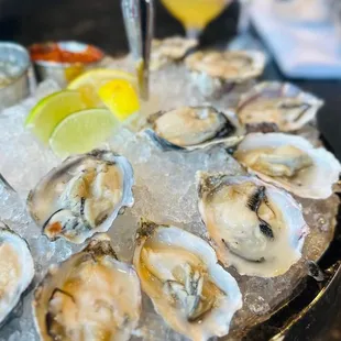 Oysters