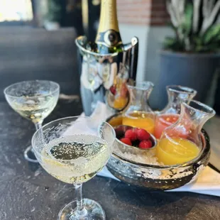 Mimosa flight