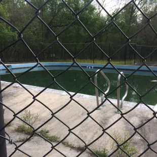 I wouldn&apos;t go swimming in the pool