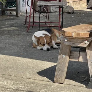 Dog friendly, lovely outdoor yard