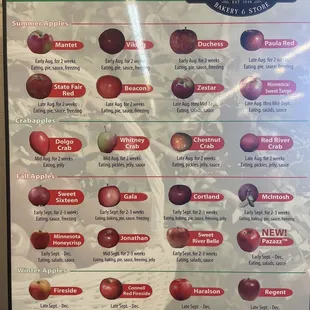 Apple varieties- though they all look the same to me!