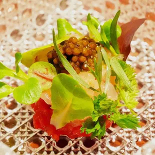 spiny lobster &amp; lamb