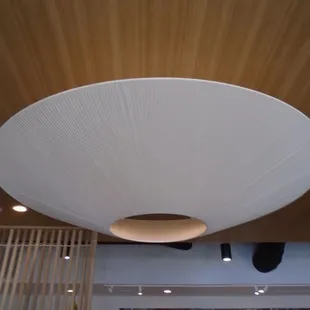 Awesome giant UFO style lighting in the dining room.