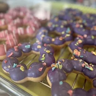 Sak Donuts