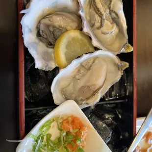 Oysters