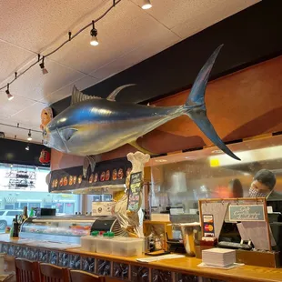 Great Sushi!