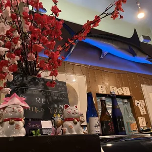 sushi and sashimi, interior