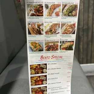 a hand holding a menu