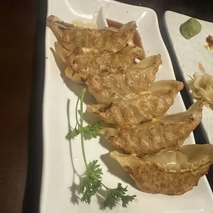 Gyoza