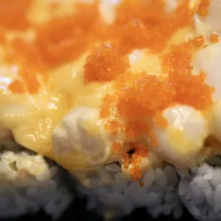 sushi, sushi and sashimi, food, sashimi