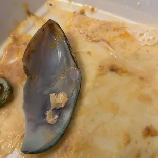 Baked mussels that nearly broke my tooth and grocery store top ramen