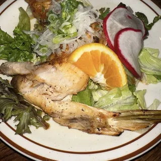 YELLOWTAIL COLLAR (KAMA) 1PC