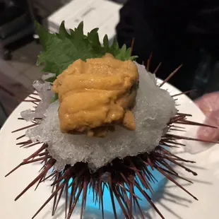 Live uni