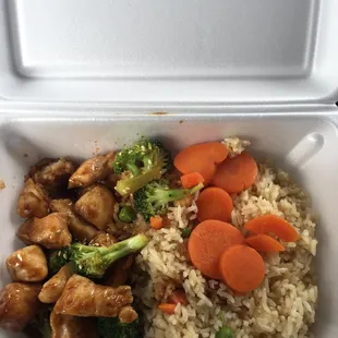 Kids meal teriyaki chicken!