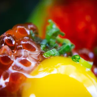 Salmon roe nigiri with quail egg.