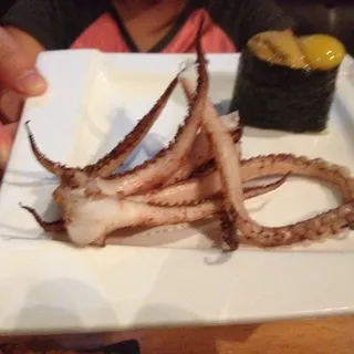 Squid