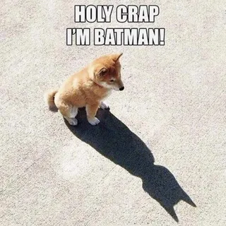 H C.