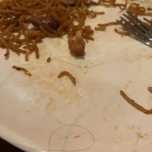 Hair found in food.