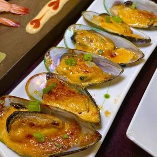 mussels, food, oysters and mussels, oysters, shellfish