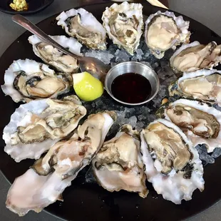 Dozen oysters for $12
