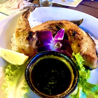 Hamachi - Kama Appetizer