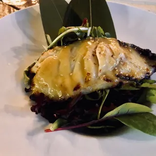 Black Cod Appetizer