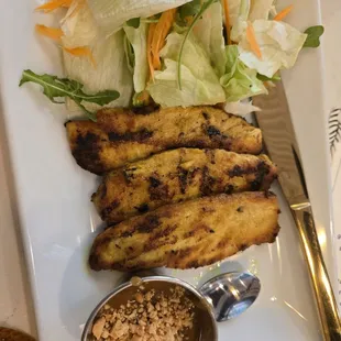 Chicken satay appetizer