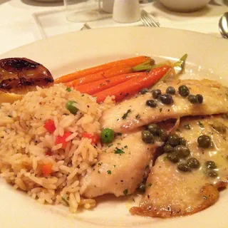 Tilapia