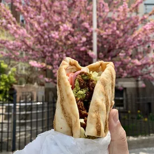 Falafel