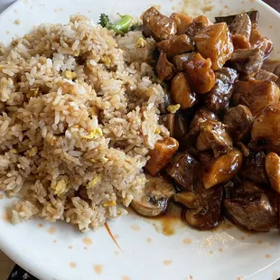 Teriyaki chicken and steak