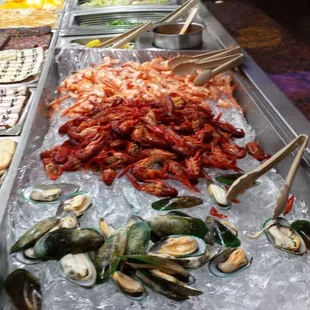 Oysters