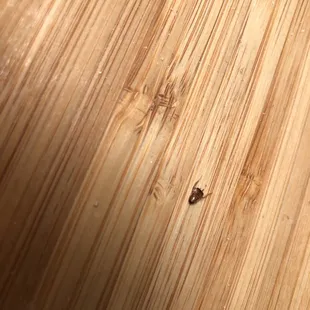 Bug in my food