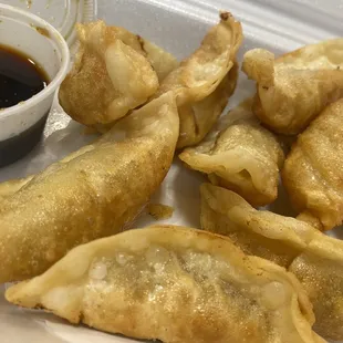 Fried gyoza