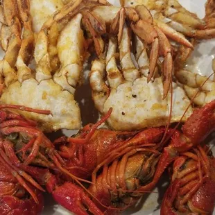Crawdad