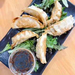 6 Crispy Gyoza