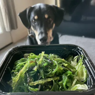 Seaweed Salad