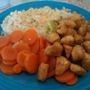 Teriyaki chicken plate