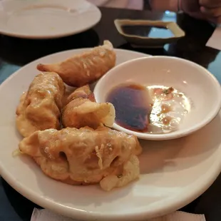 Pork Dumplings