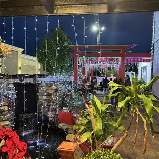 Exterior Holiday Decorations