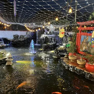 The koi pond