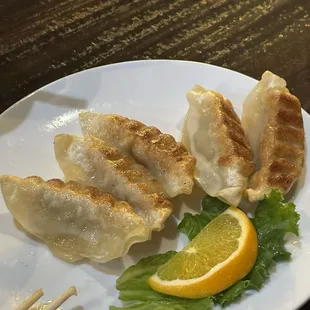 Gyoza