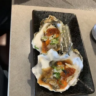 Oysters