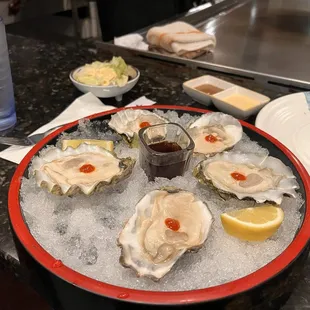 Oysters
